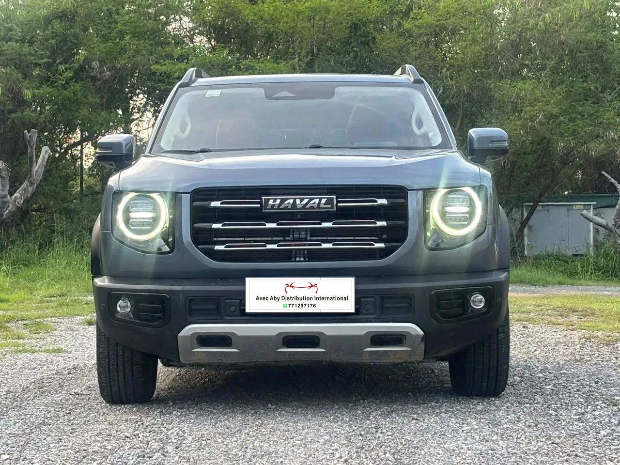 HAVAL Big Dog